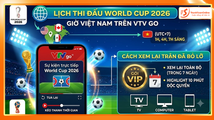Lịch Thi Đấu World Cup 2026 Giờ Việt Nam Trên VTV Go — Cách Xem Lại Trận Đã Bỏ Lỡ